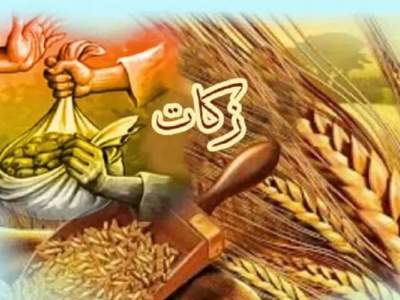 پرداخت بیش از یک میلیارد تومان زکات توسط نیکوکاران فریدونشهری در سه‌ماهه نخست سال