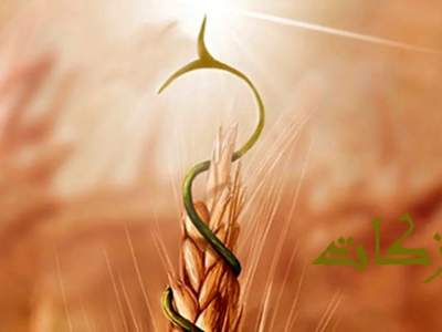 پرداخت بیش از ۱۵ میلیارد تومان زکات توسط نیکوکاران اصفهانی در چهار ماهه نخست امسال