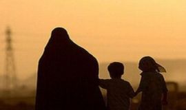 پرداخت حق بیمه تامین اجتماعی، چتری حمایتی برای زنان سرپرست خانوار تحت پوشش است