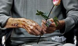 توجه ویژه به سالمندان از اهم برنامه های این نهاد  است