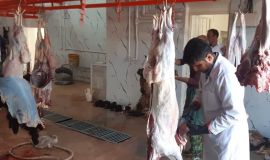 وقتی گوشت قربانی به خانه‌های مددجویان سمیرمی رسید