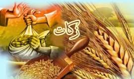 پرداخت بیش از یک میلیارد تومان زکات توسط نیکوکاران فریدونشهری در سه‌ماهه نخست سال
