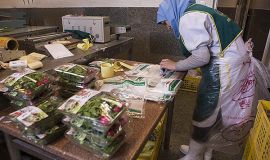 بارسنگین دغدغه های مسکن و معیشت بر دوش زنان سرپرست خانوار تحت حمایت کمیته امداد