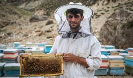 تصویری از کمیته امداد امام خمینی